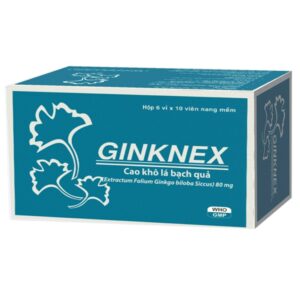 Thuốc Ginknex 80mg Davipharm hỗ trợ điều trị chứng giảm trí nhớ, kém tập trung tư tưởng (6 vỉ x 10 viên)