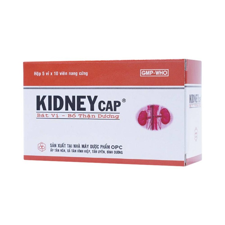 Thuốc Kidneycap OPC bát vị, bổ thận dương dùng cho người váng đầu, ù tai (5 vỉ x 10 viên)