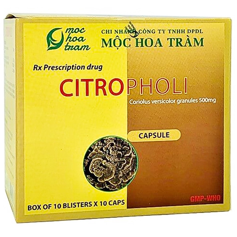 Thuốc Citropholi Mộc Hoa Tràm tăng cường hệ miễn dịch cơ thể (10 vỉ x 10 viên)