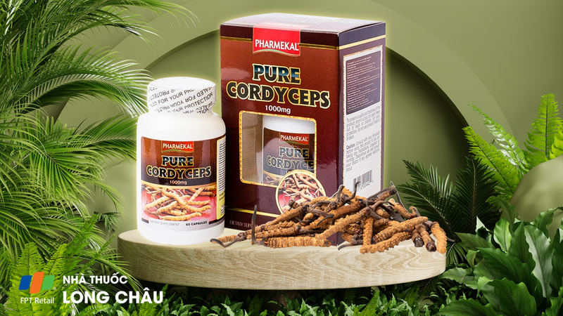 00345341_lifestyle_pure_cordy_cep_pharmekal_60_v_7affded2b8 Pure Cordyceps 1