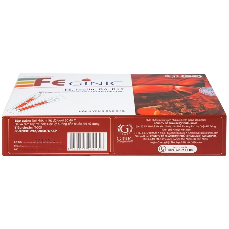 Dung dịch Feginic bổ sung sắt cho người thiếu máu do thiếu sắt (4 vỉ x 5 ống x 5ml)