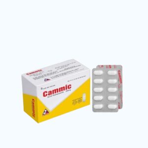 Viên uống Cammic 500mg điều trị rong kinh, hội chứng chảy máu (Hộp 10 Vỉ x 10 Viên)