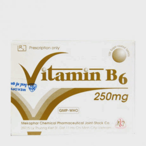 Viên nén Vitamin B6 250mg điều trị chứng thiếu vitamin B6 (10 vỉ x 10 viên)