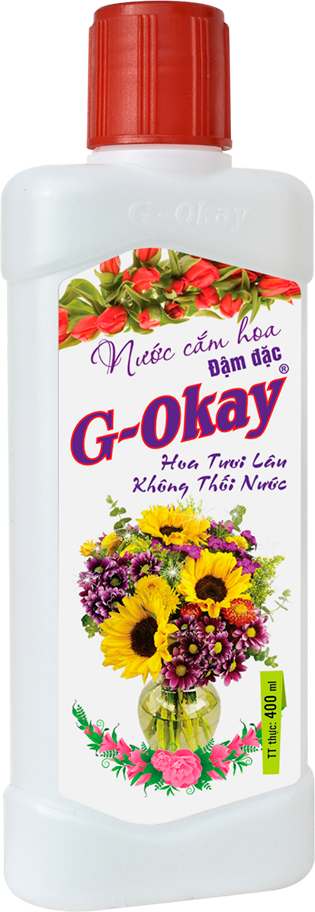 home banner