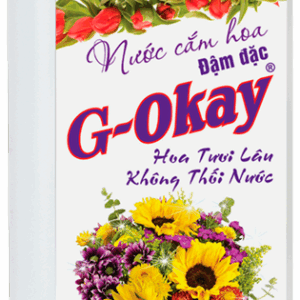 home banner