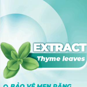 home banner