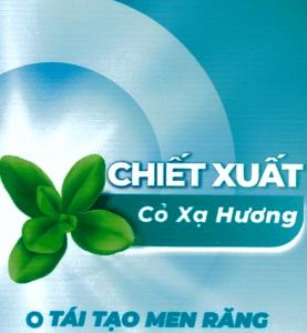 home banner