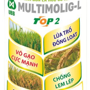 home banner