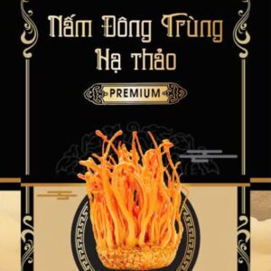 home banner