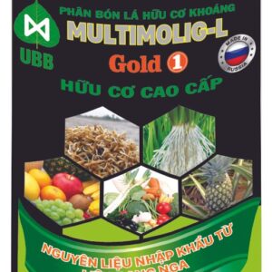 home banner