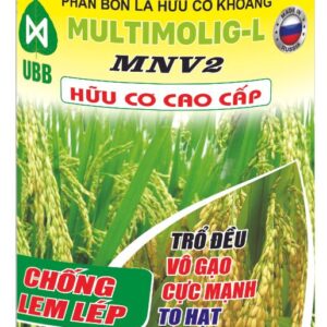 home banner