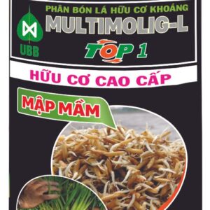home banner