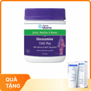 Viên uống Glucosamine 1500 Plus hỗ trợ tăng tiết dịch khớp, bảo vệ màng sụn khớp