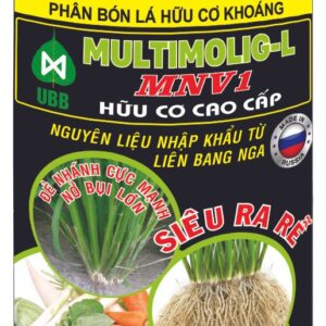 home banner