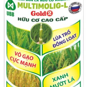 home banner