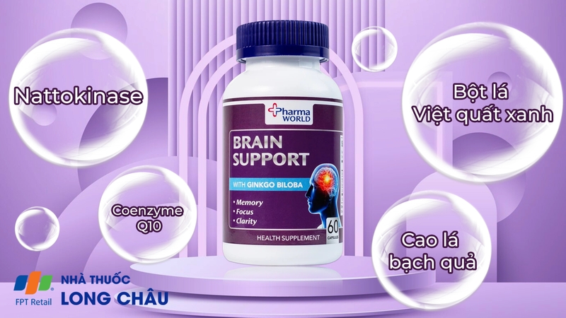brain-support-1