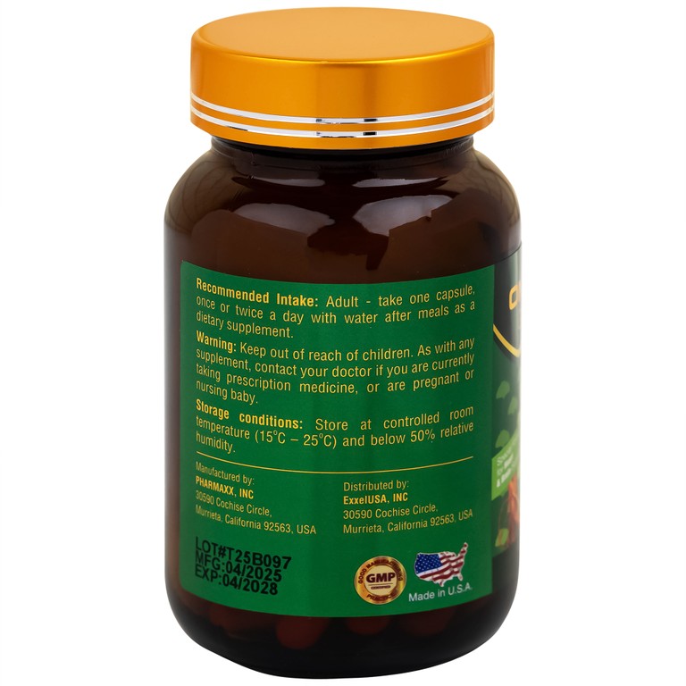 Viên uống Omexxel Ginkgo 120 Premium hỗ trợ tốt cho não và tim mạch (60 viên)