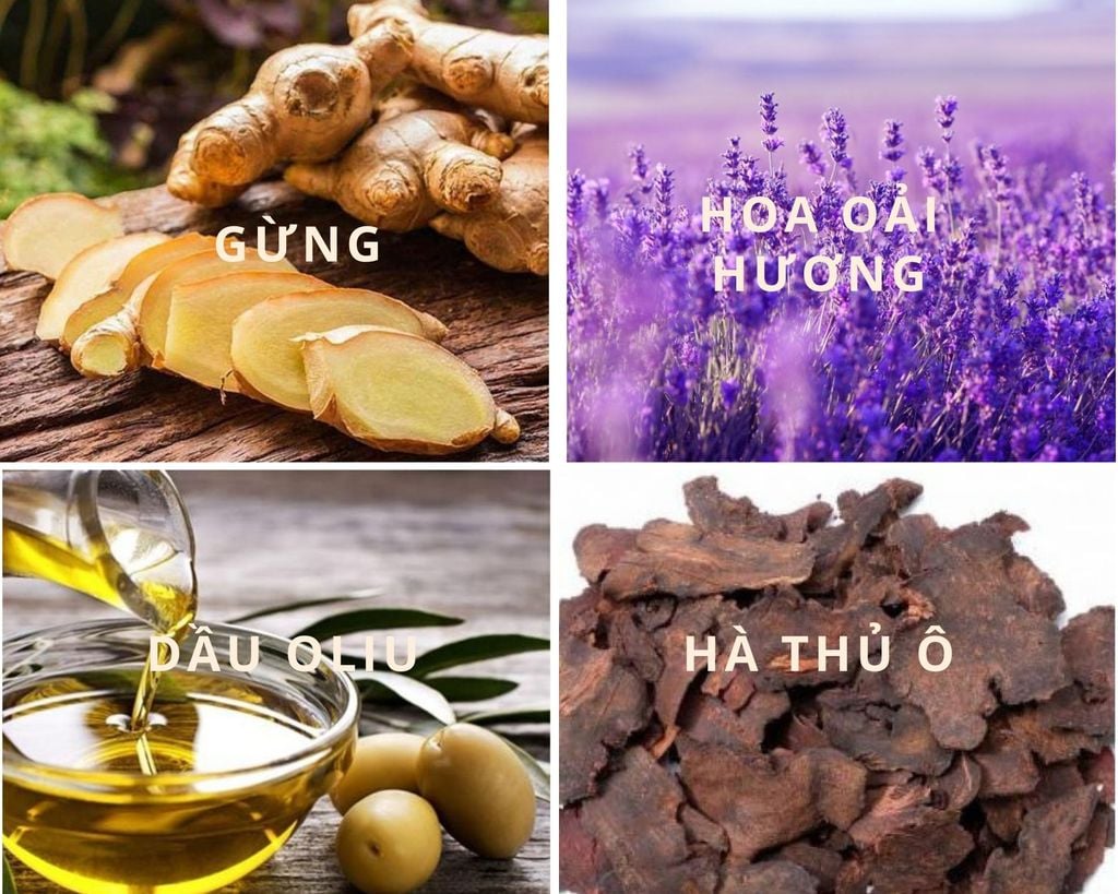 ha_thu_o_84546343ecc247ea969e639a7eb52a60_1024x1024