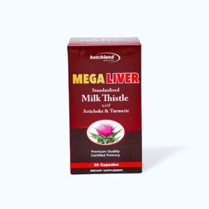 Viên uống Hotchland Mega Liver Hỗ trợ chức năng gan (Hộp 30 viên)