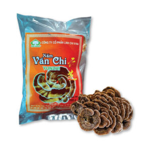 Nấm Vân Chi Khô Nguyên Tai hỗ trợ miễn dịch, tăng hiệu quả điều trị ung thư (Gói 100g)