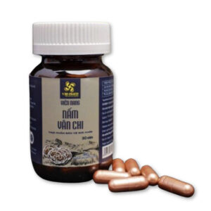 Viên nang nấm Vân Chi hỗ trợ tăng cường đề kháng, bảo vệ gan (Hộp 30 viên)