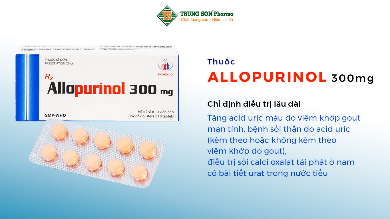 Thuốc Allopurinol được chỉ định để điều trị lâu dài tăng acid uric máu do viêm khớp gout mạn tính, bệnh sỏi thận do acid uric (kèm theo hoặc không kèm theo viêm khớp do gout), điều trị sỏi calci oxalat tái phát ở nam có bài tiết urat trong nước tiểu trên 800 mg/ngày và 750 mg/ngày, tăng acid uric máu khi dùng hóa trị liệu điều trị ung thư trong bệnh bạch cầu, lympho, u ác tính đặc.